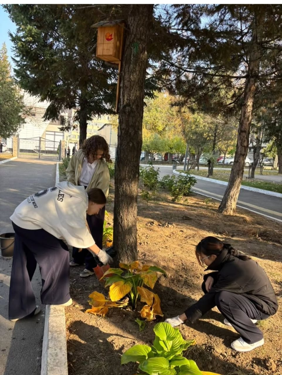 Гимназияның жаңа парламент мүшелерің жұмысы - Работа членов нового парламента школы
